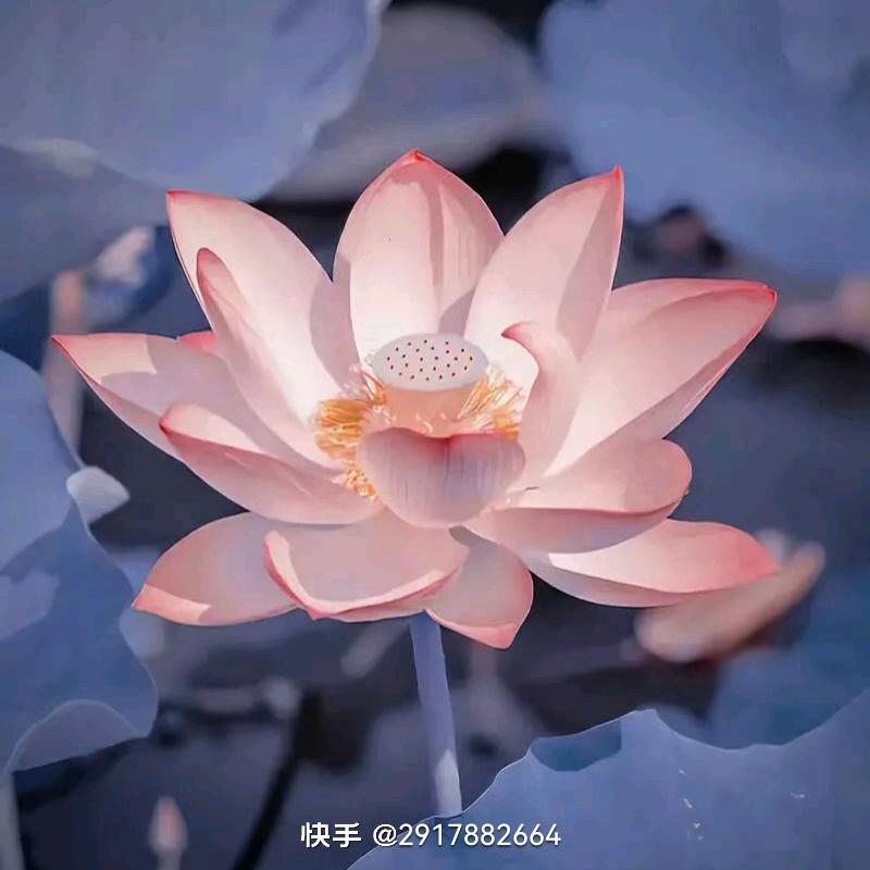 开开心心每一天