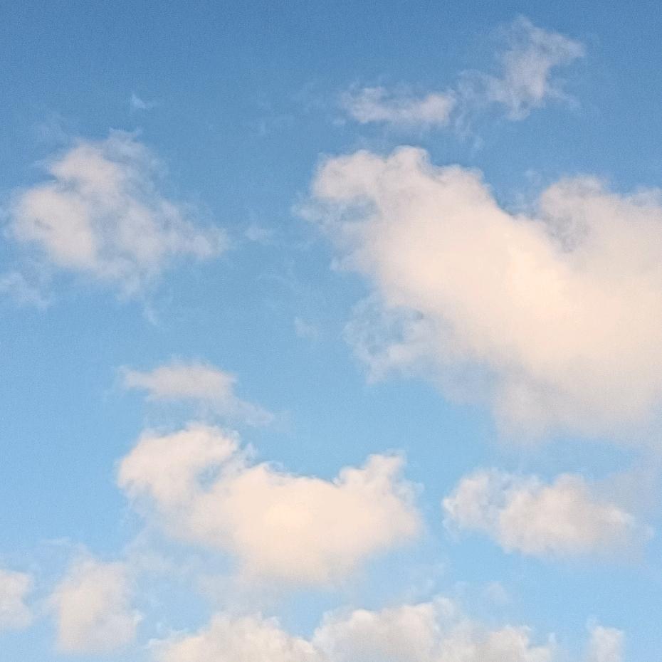 向着太阳生长