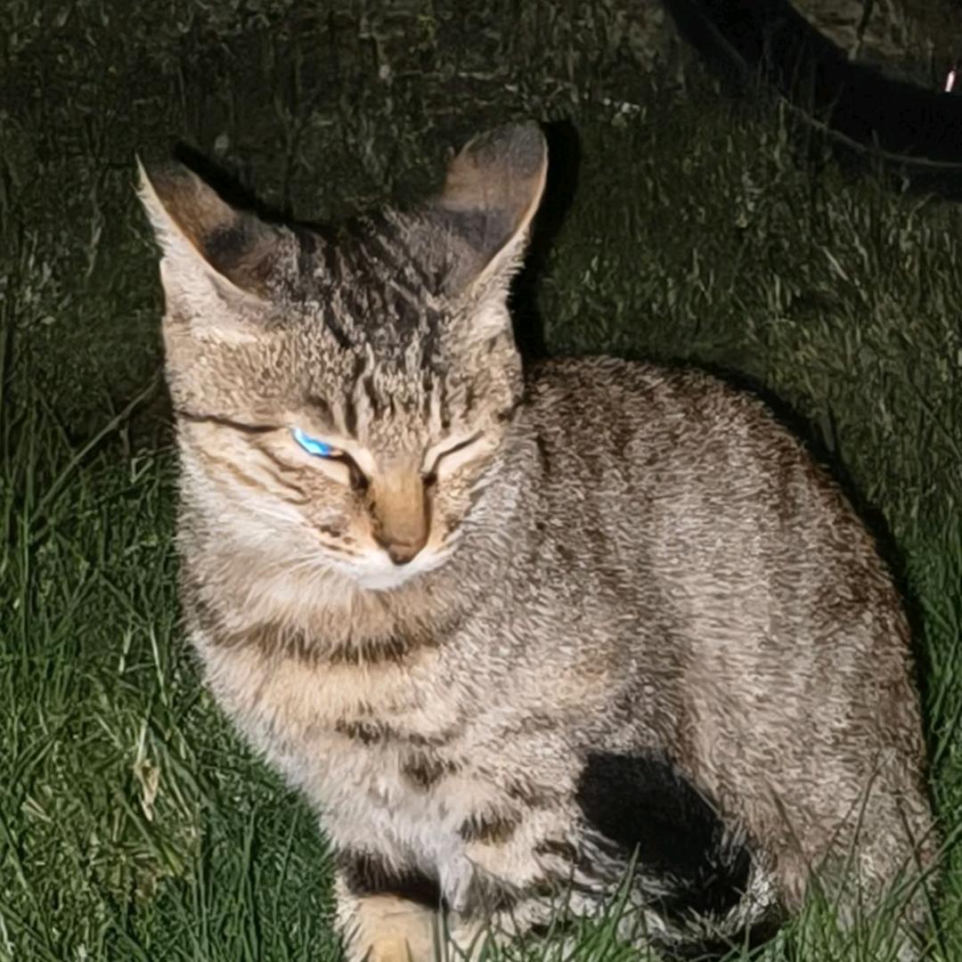 🧊