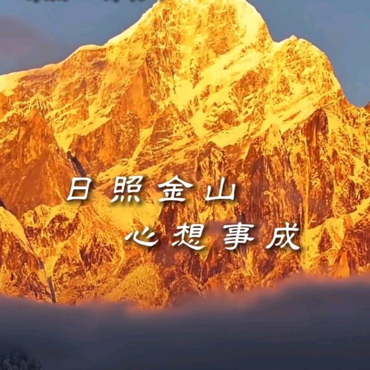 同庆