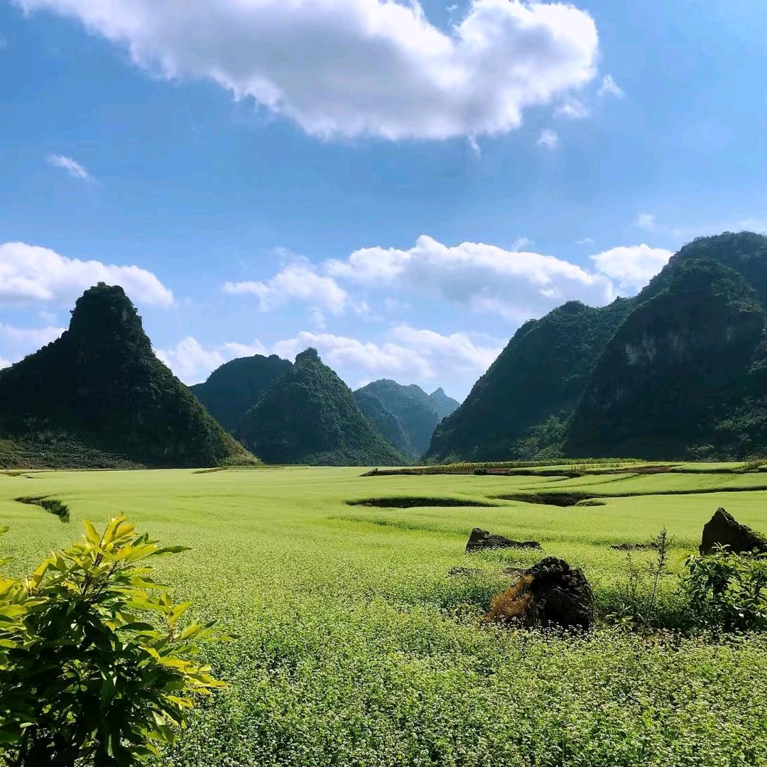 黄振华
