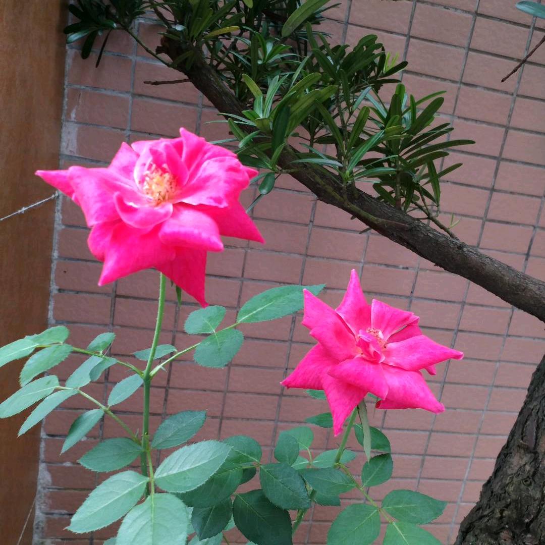 靖哥哥💞💞