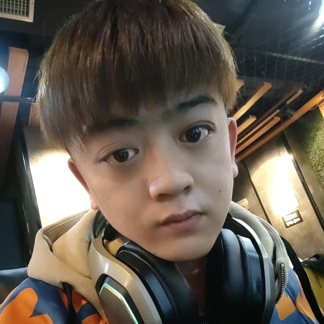 百汇名猫商行