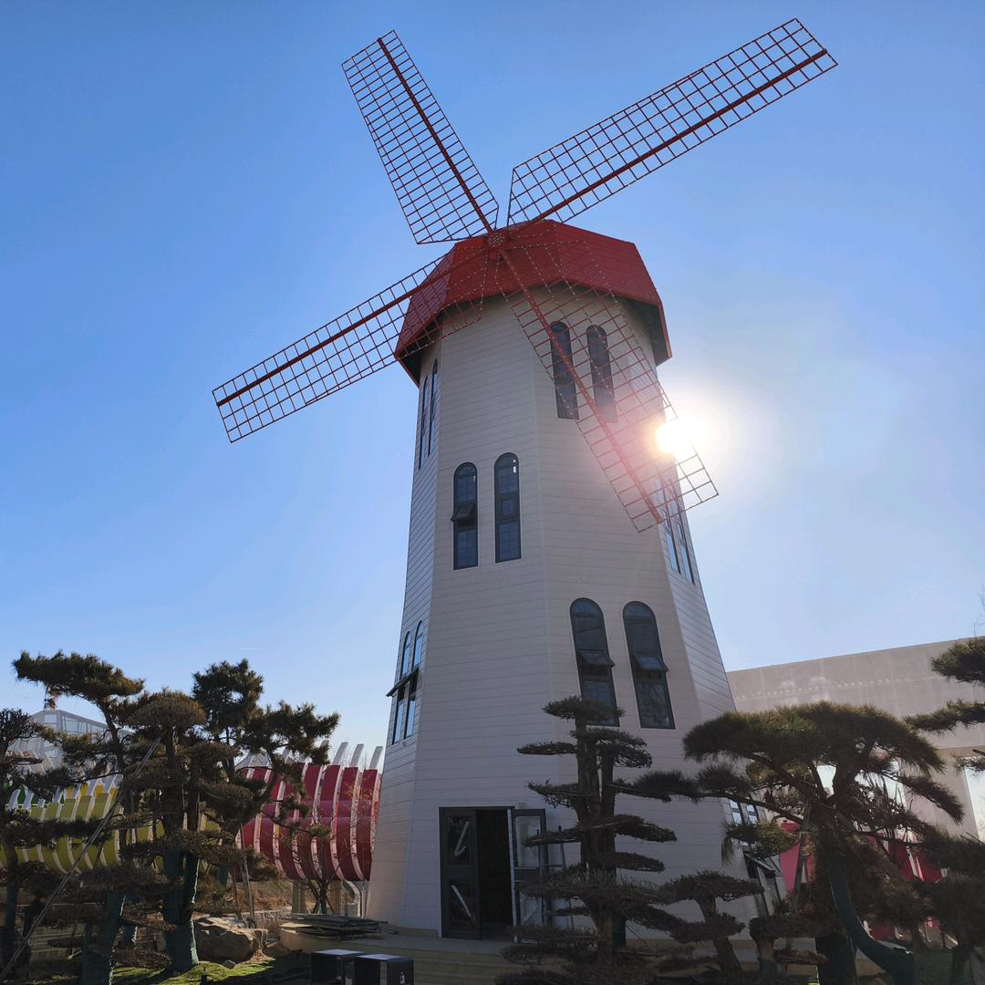 自由的灵魂爱钱