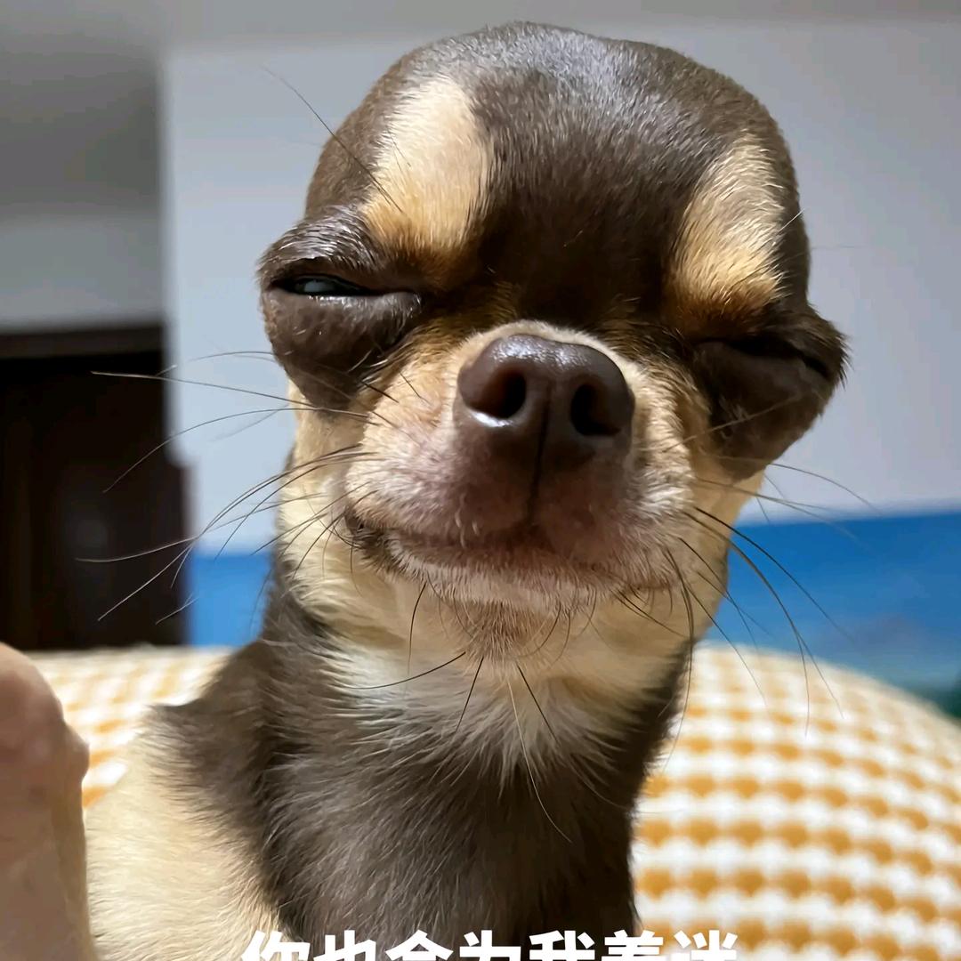 草莓锡纸烫