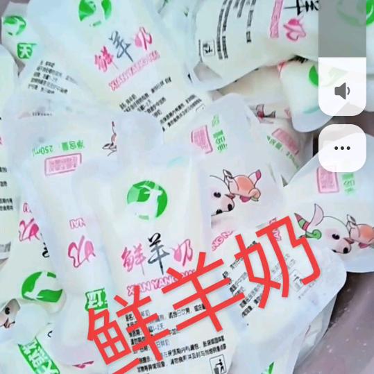 每天先挤羊奶