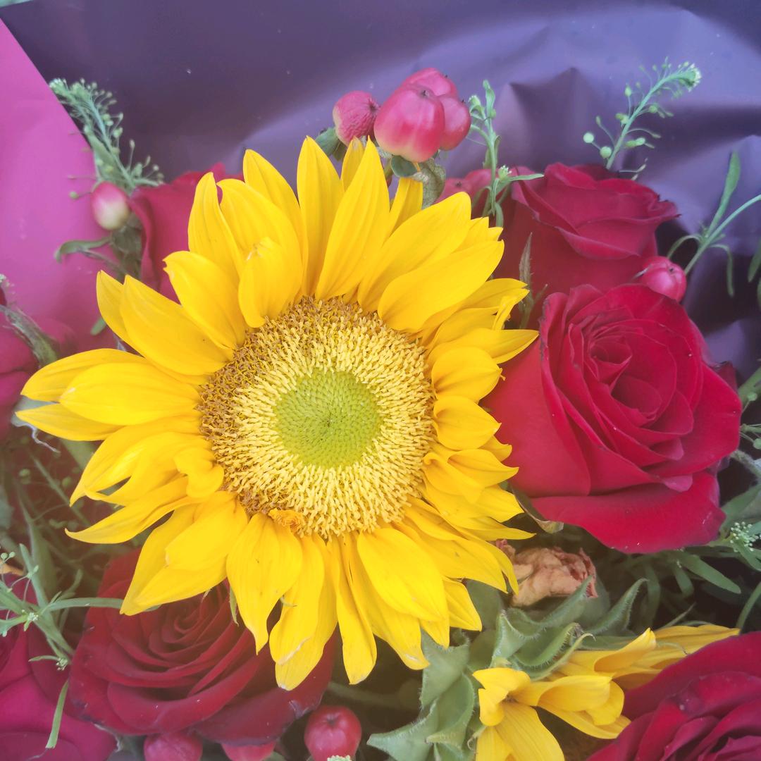 🌹((❤️我的心中只有你⥎❤️))🌹