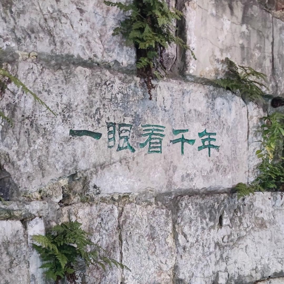 不听不看不想不说