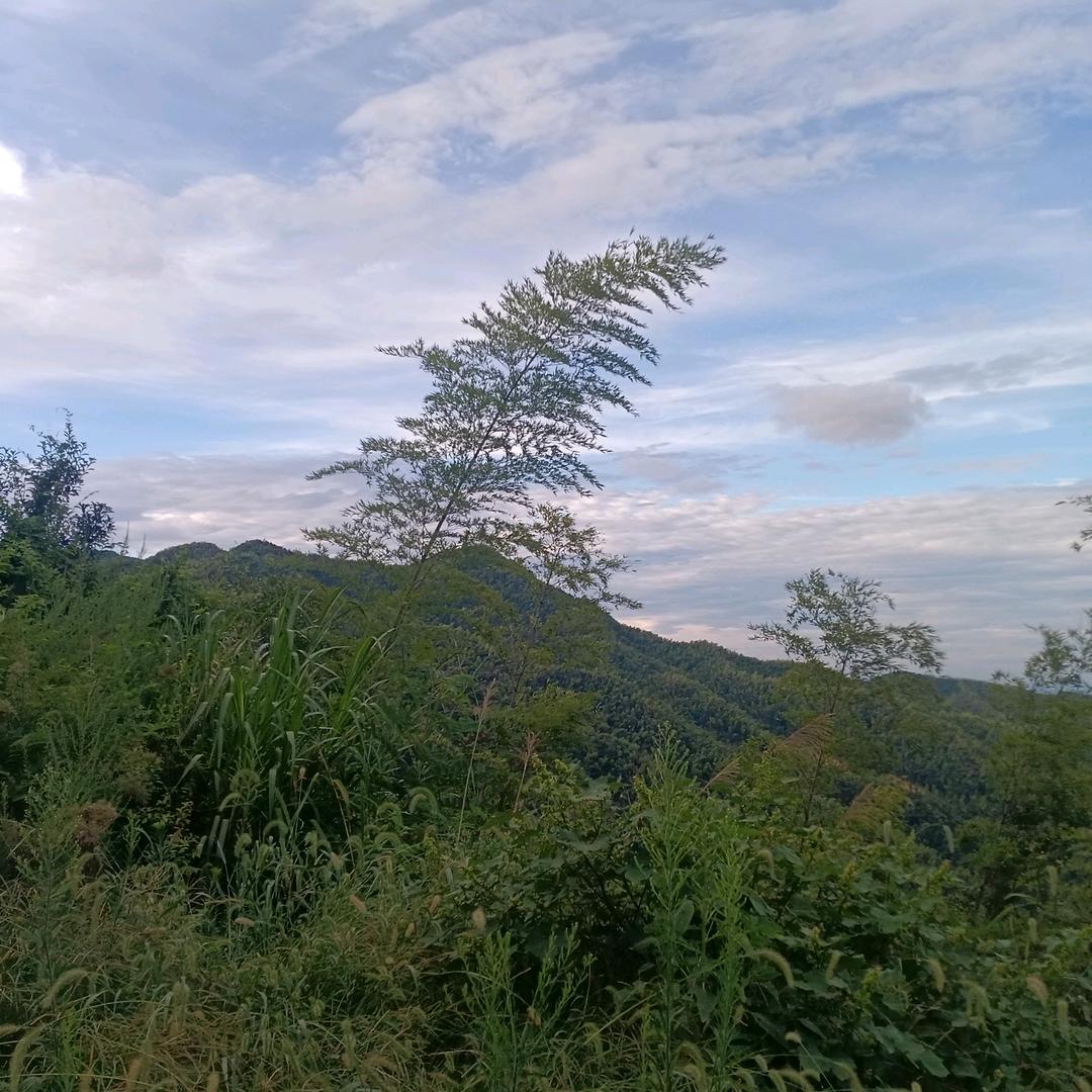 小乡村阿成