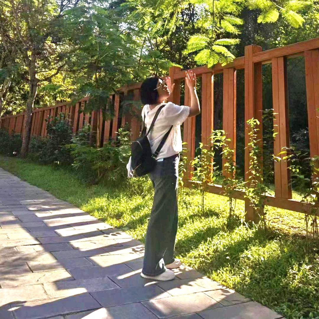 🍀四叶草🍀