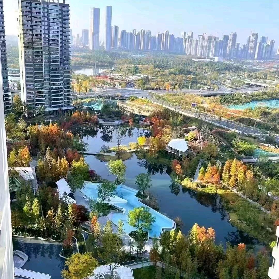 已重置