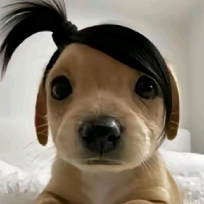 终生汝