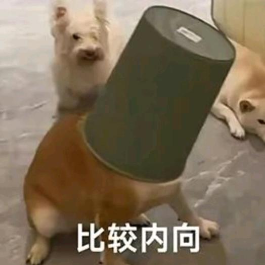 辣椒炒肉丝