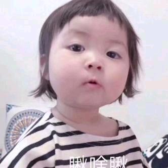 是谁偷了我的小饼干