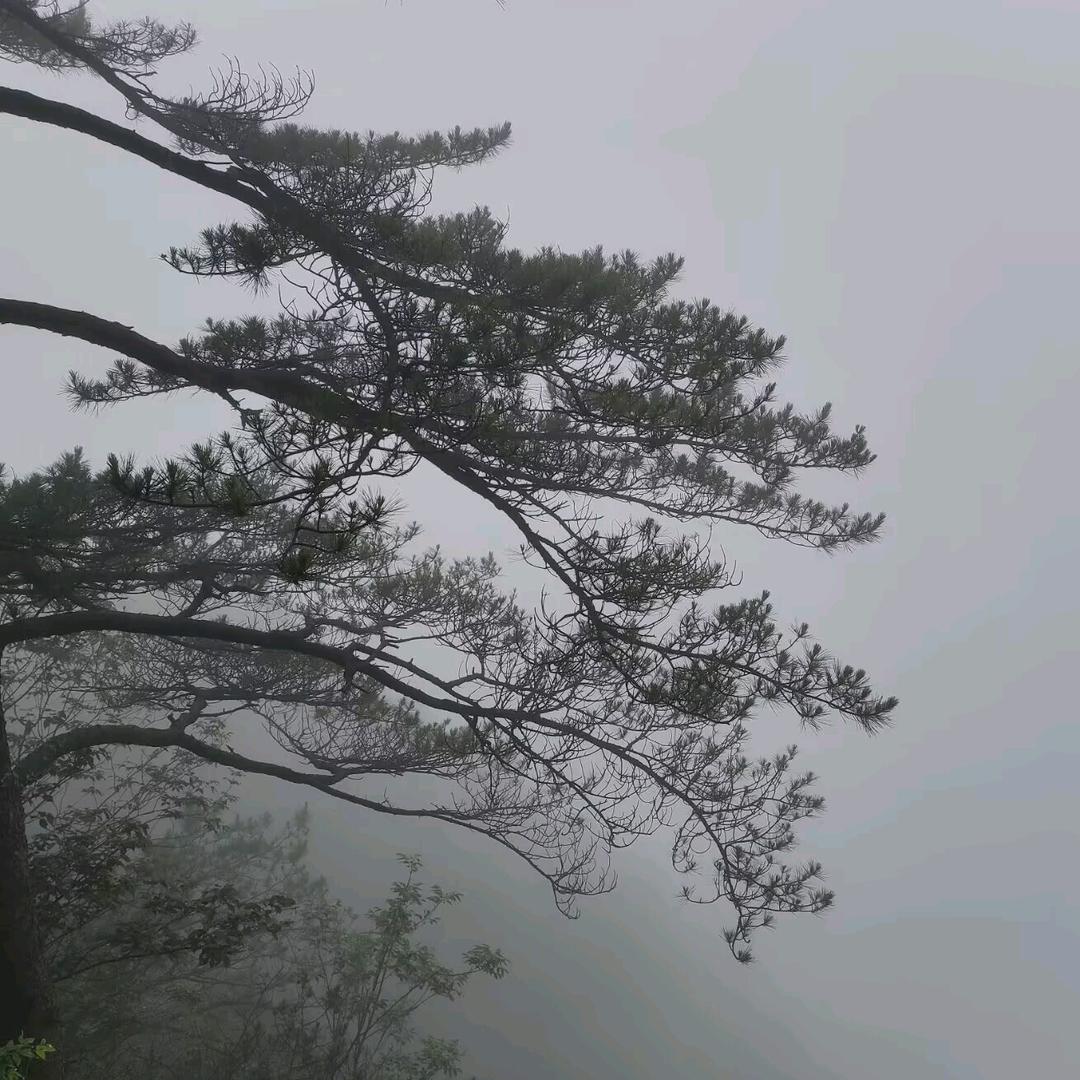 靉