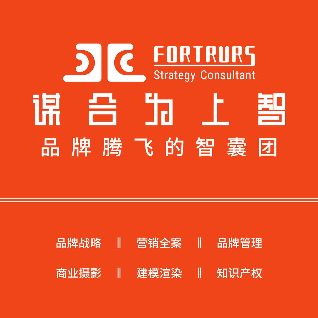 全球排名第二品牌策划公司
