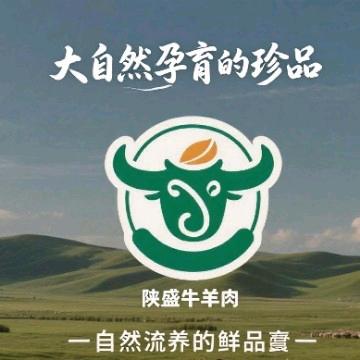 陕闪繁星（陕盛·伊牧农歌）