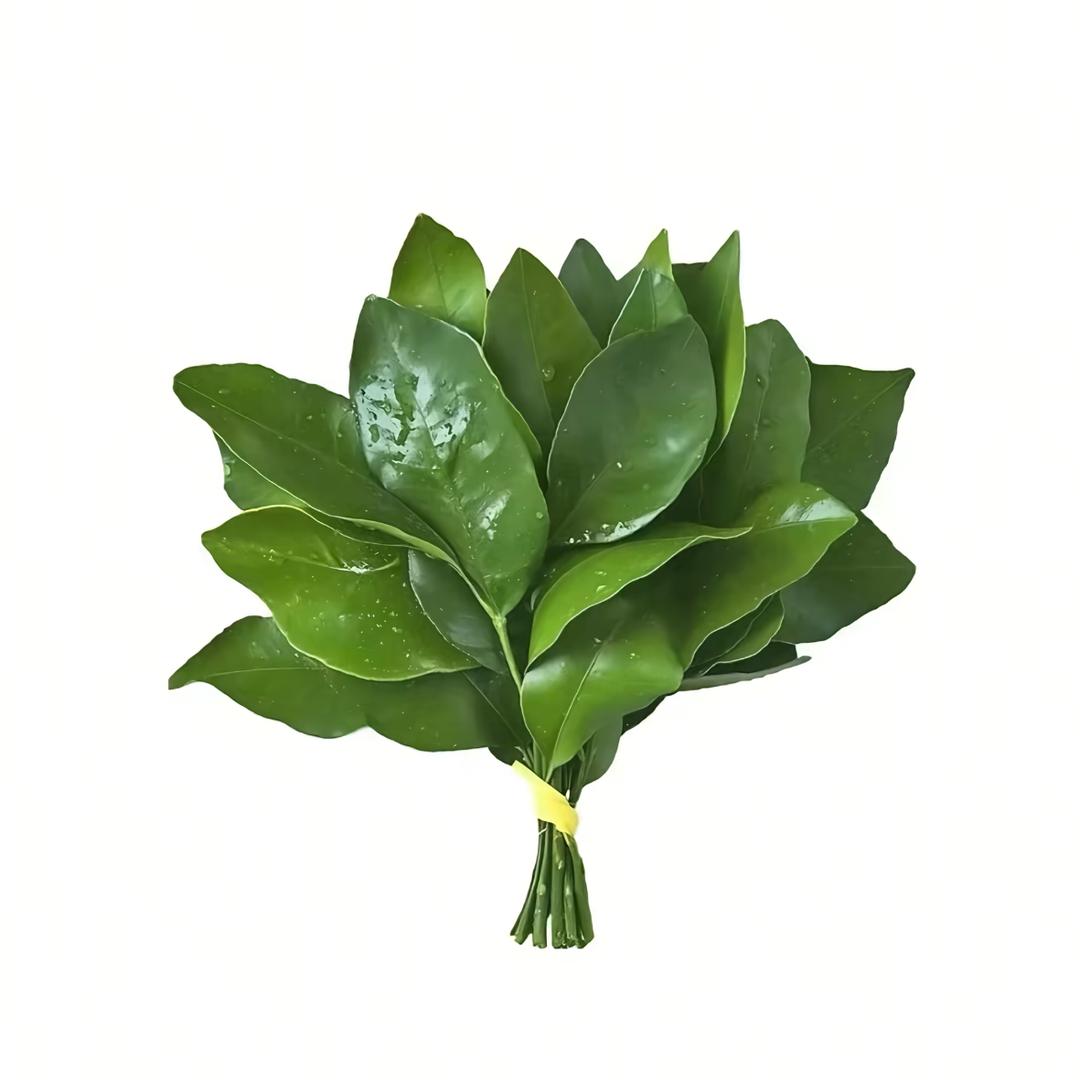 倔强求生的哥林诚头像