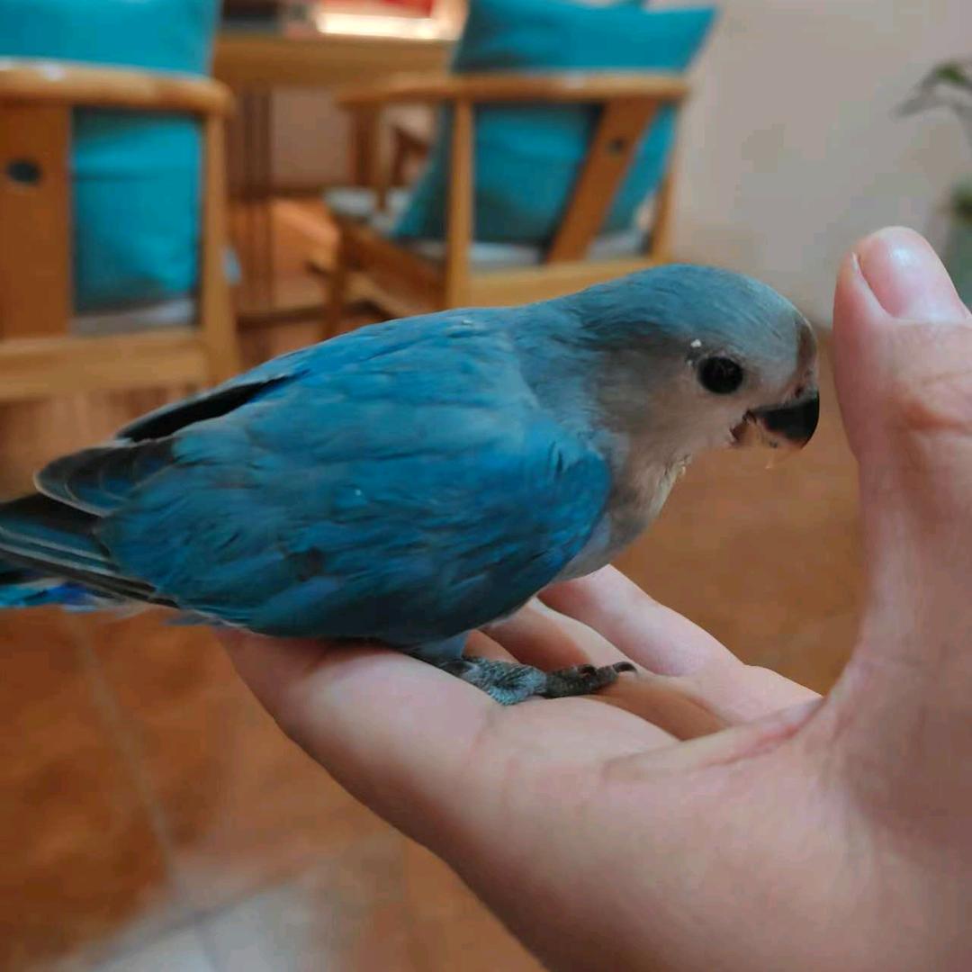 善栖商贸臻选阁