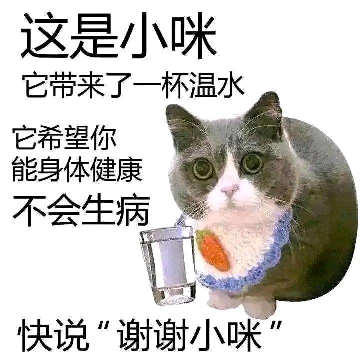 咖喱粽