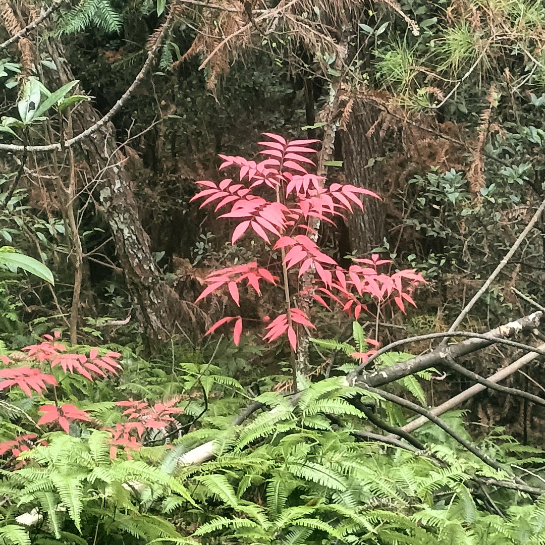 雨后天晴