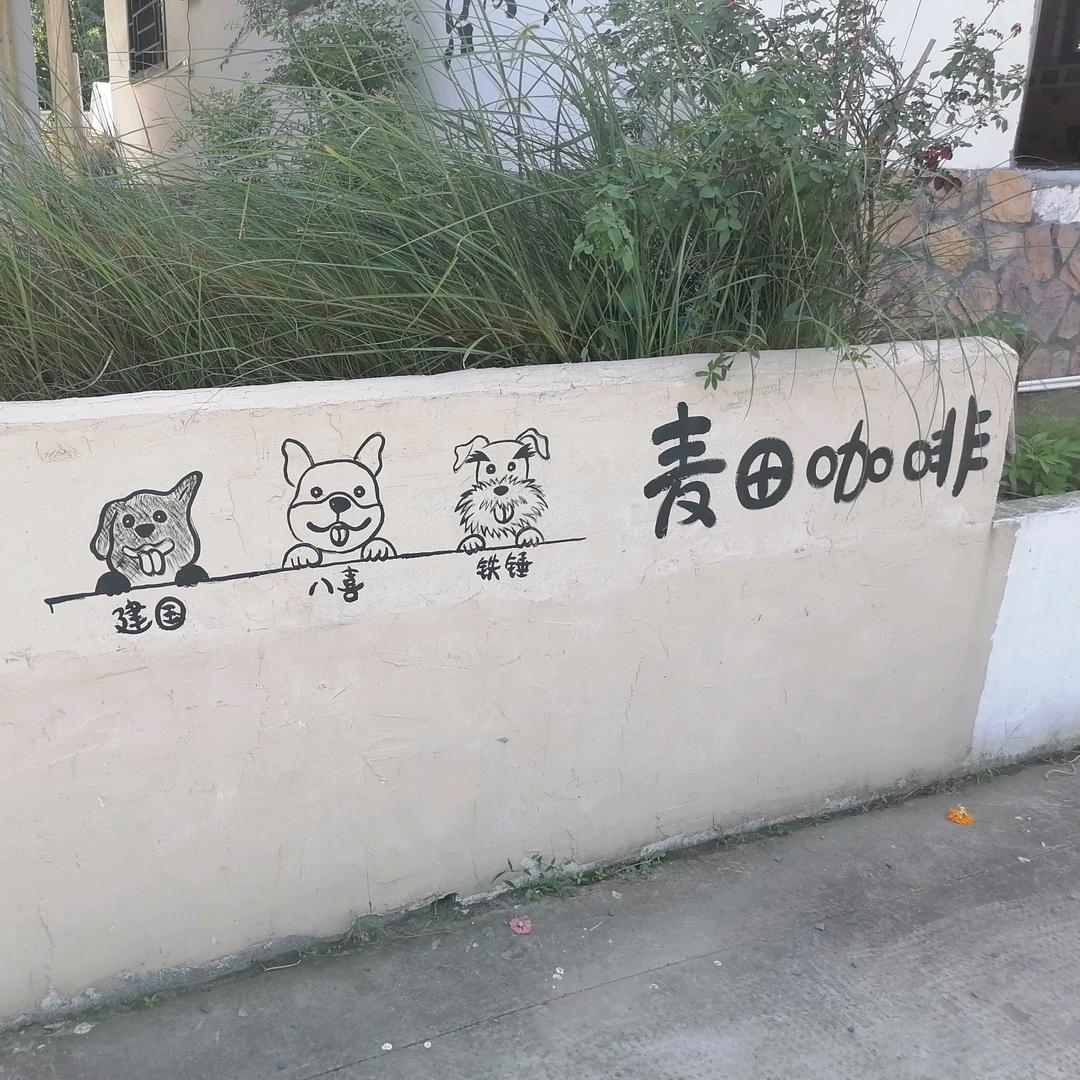 白狐