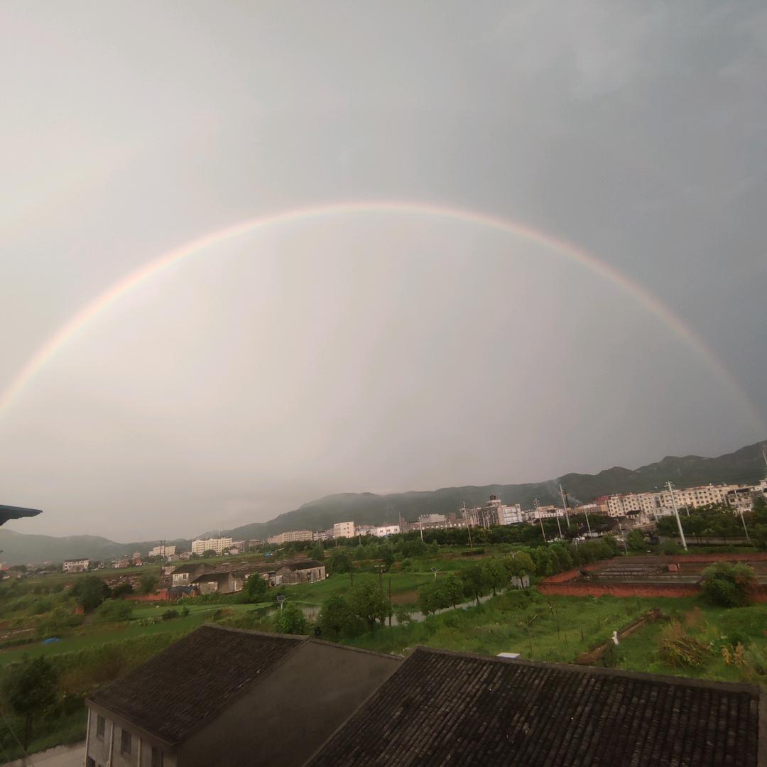 灰狼