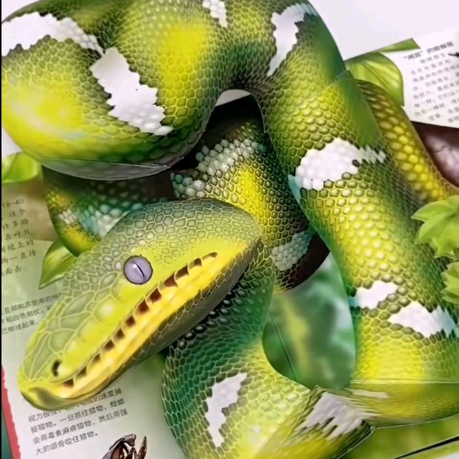 渣