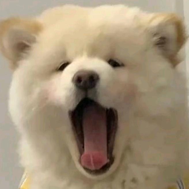 囍之郎