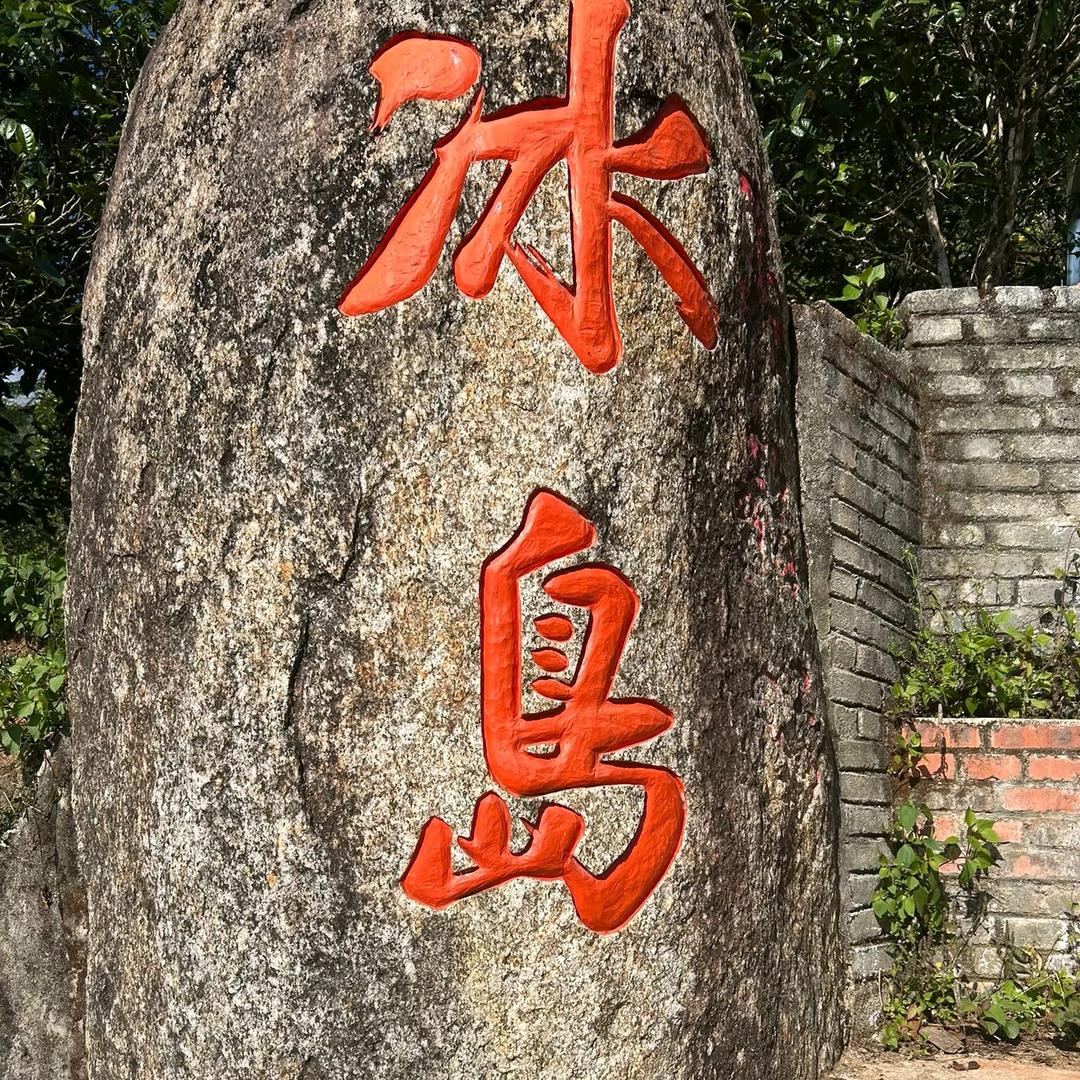 冰岛地界普洱茶五王子