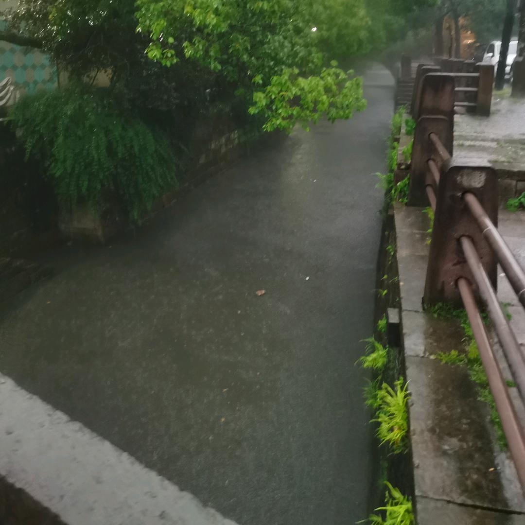 百合花