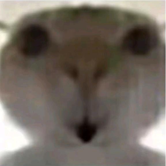 金簧年