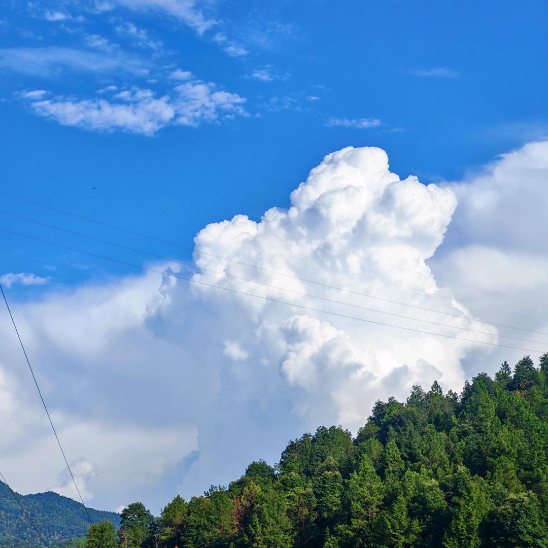 农民伯伯爱唱歌