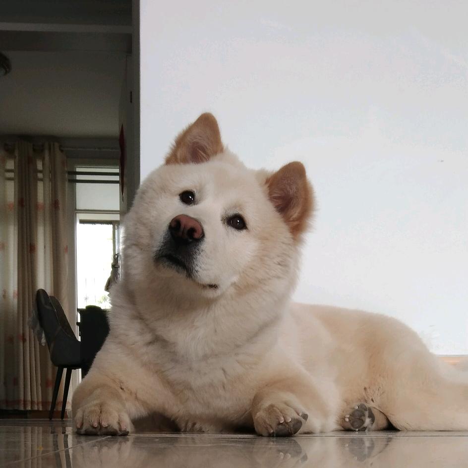 熙好优品小铺