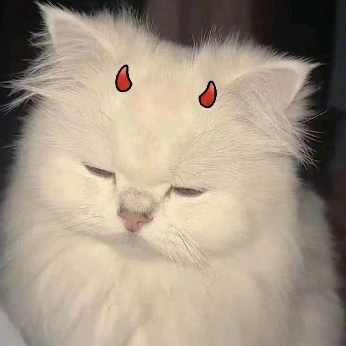 王者荣耀-猪蹄
