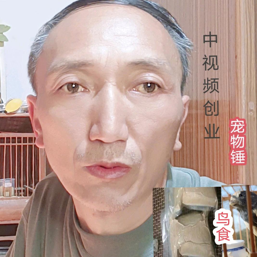 王鑫自媒体
