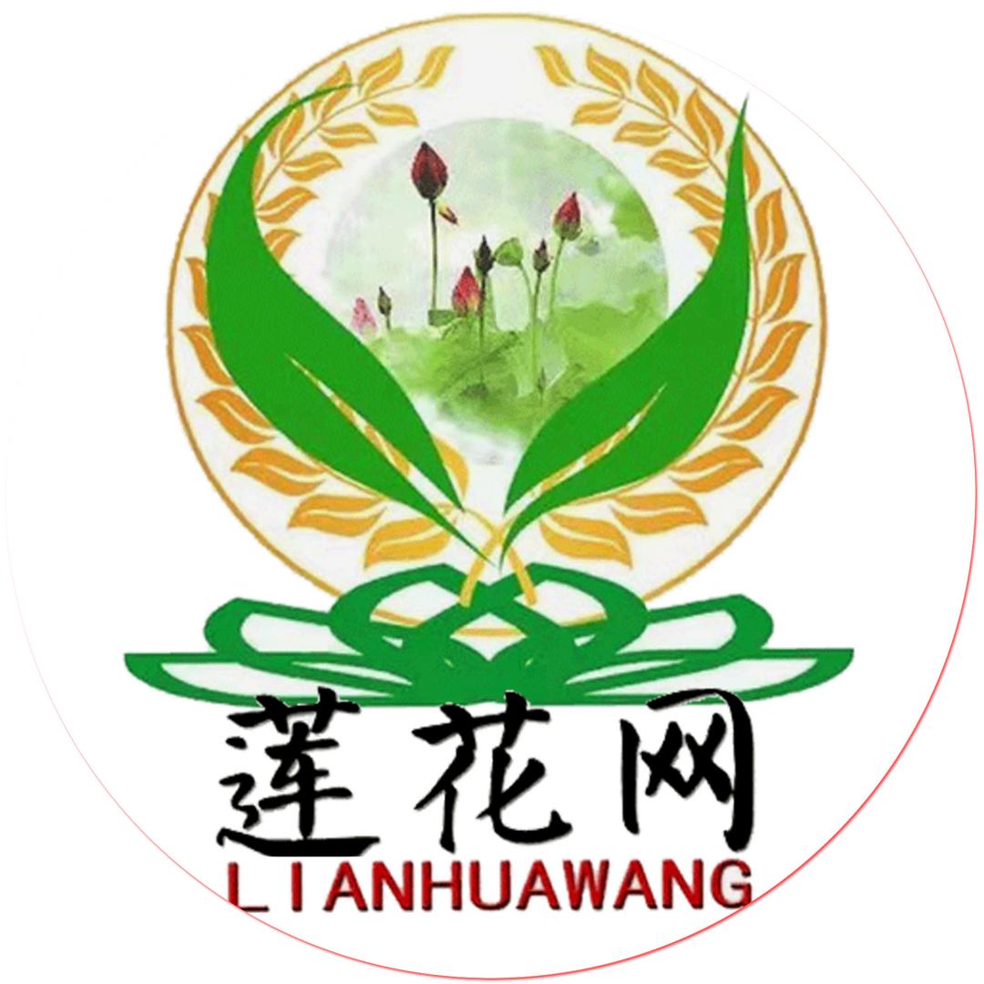 ꧁莲子༗三生ৡ࿐໌້ᮨ