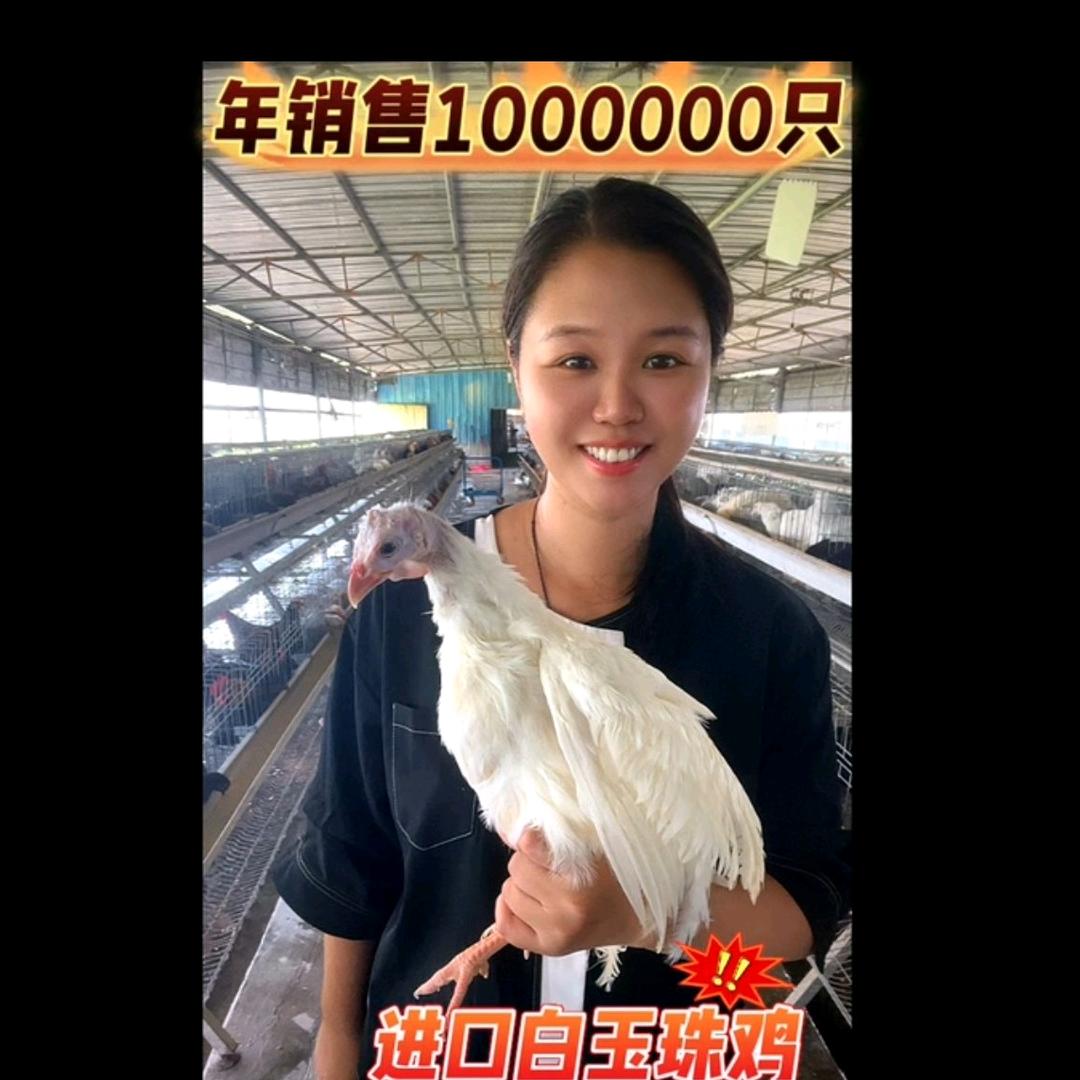 冯氏珍禽萌宠乐园