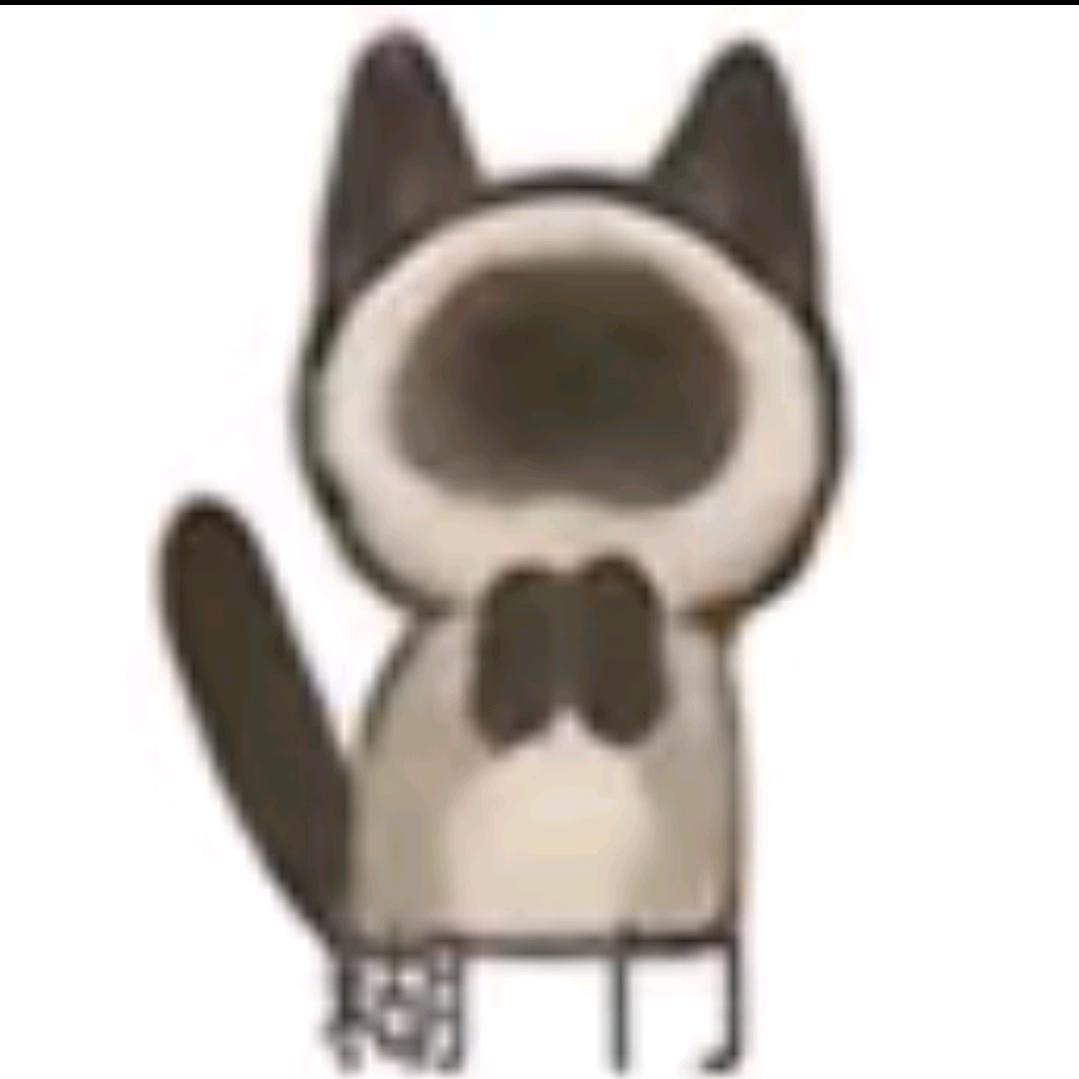 睡觉.（无畏契约）