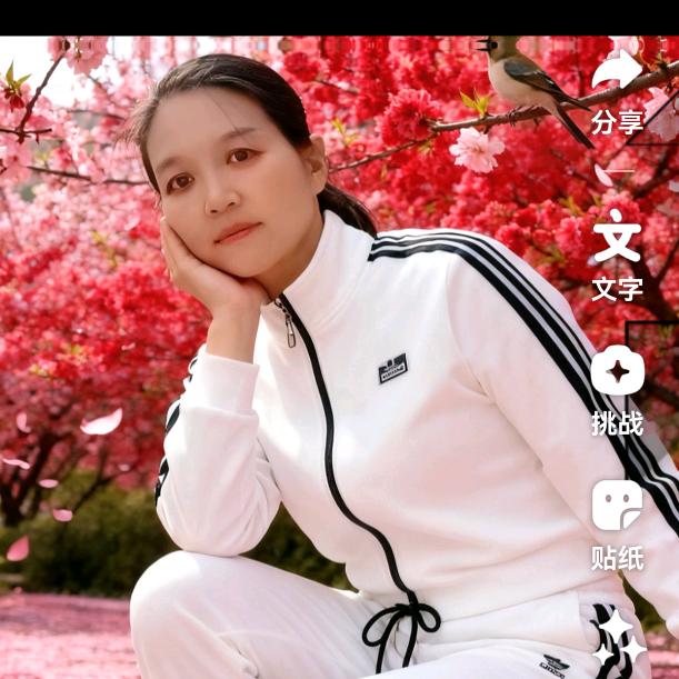 谭姐姐