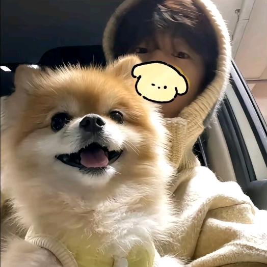 别烦我🍥