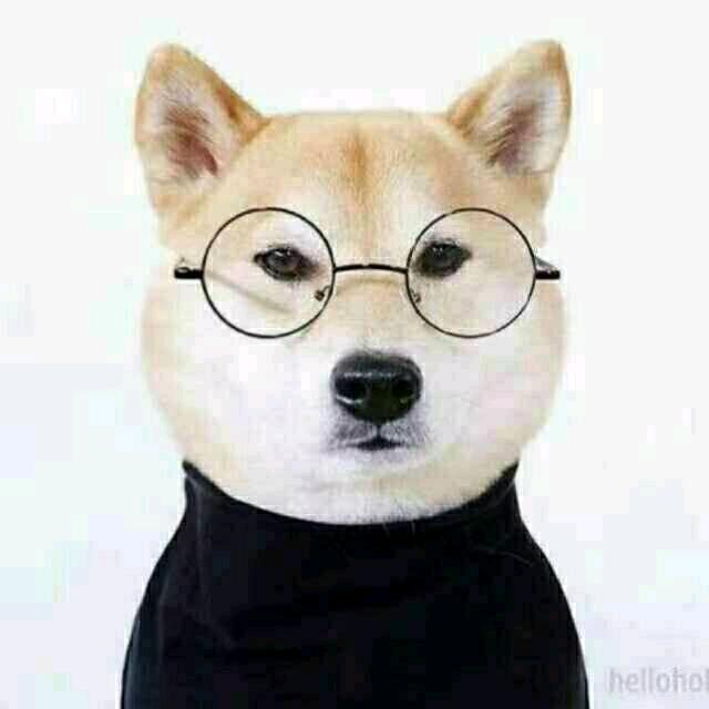 好运常伴卢老师