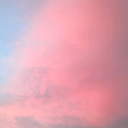 云畔雾隐花(永远)