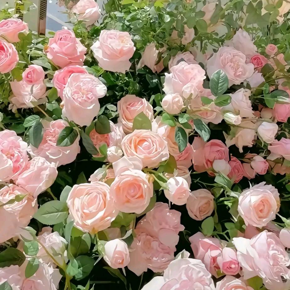 爱你一生❤️