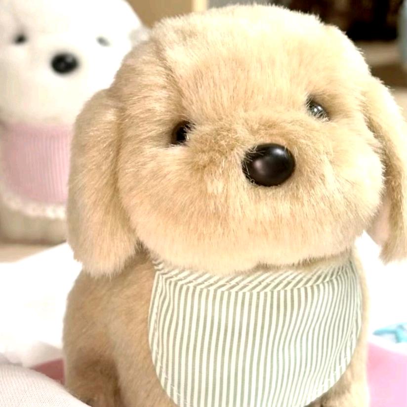 踩着瓜皮到处滑