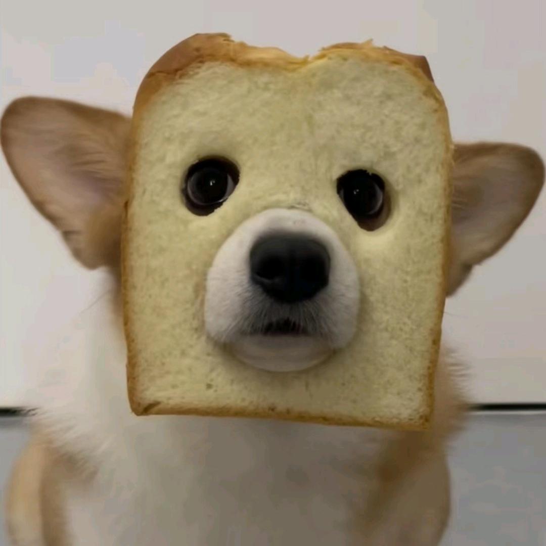 猪古力