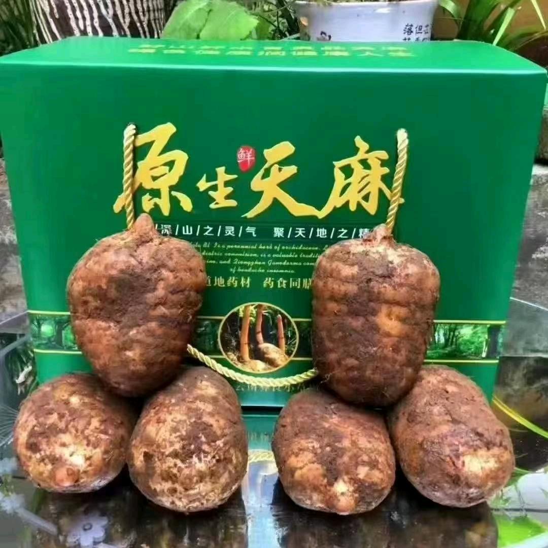 小草坝臻品天麻滋补店
