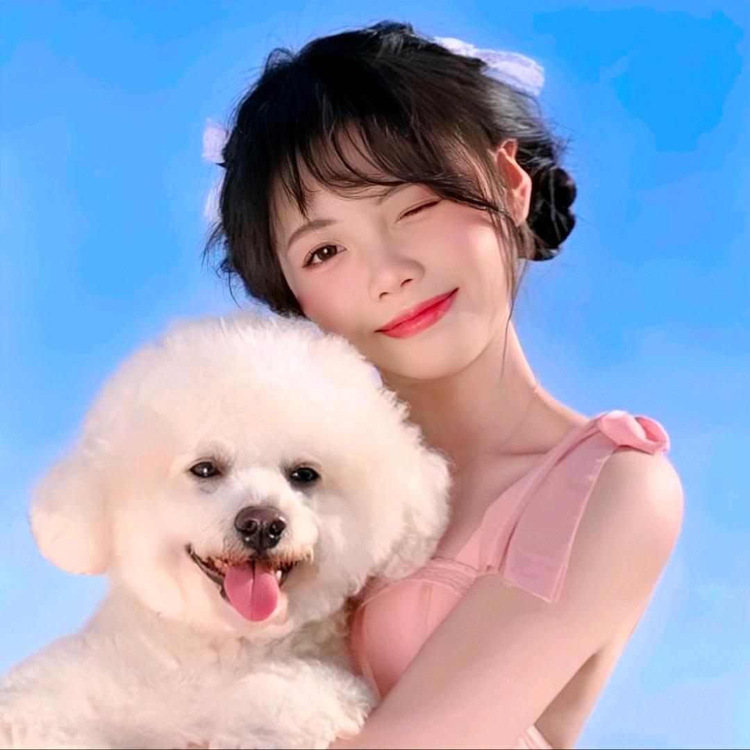 布丁是只小比熊