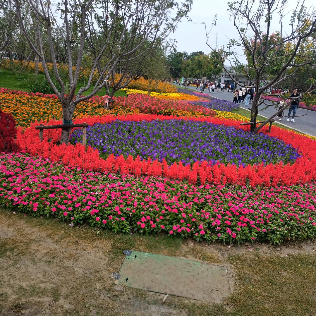 用户6716504198573云中鹤