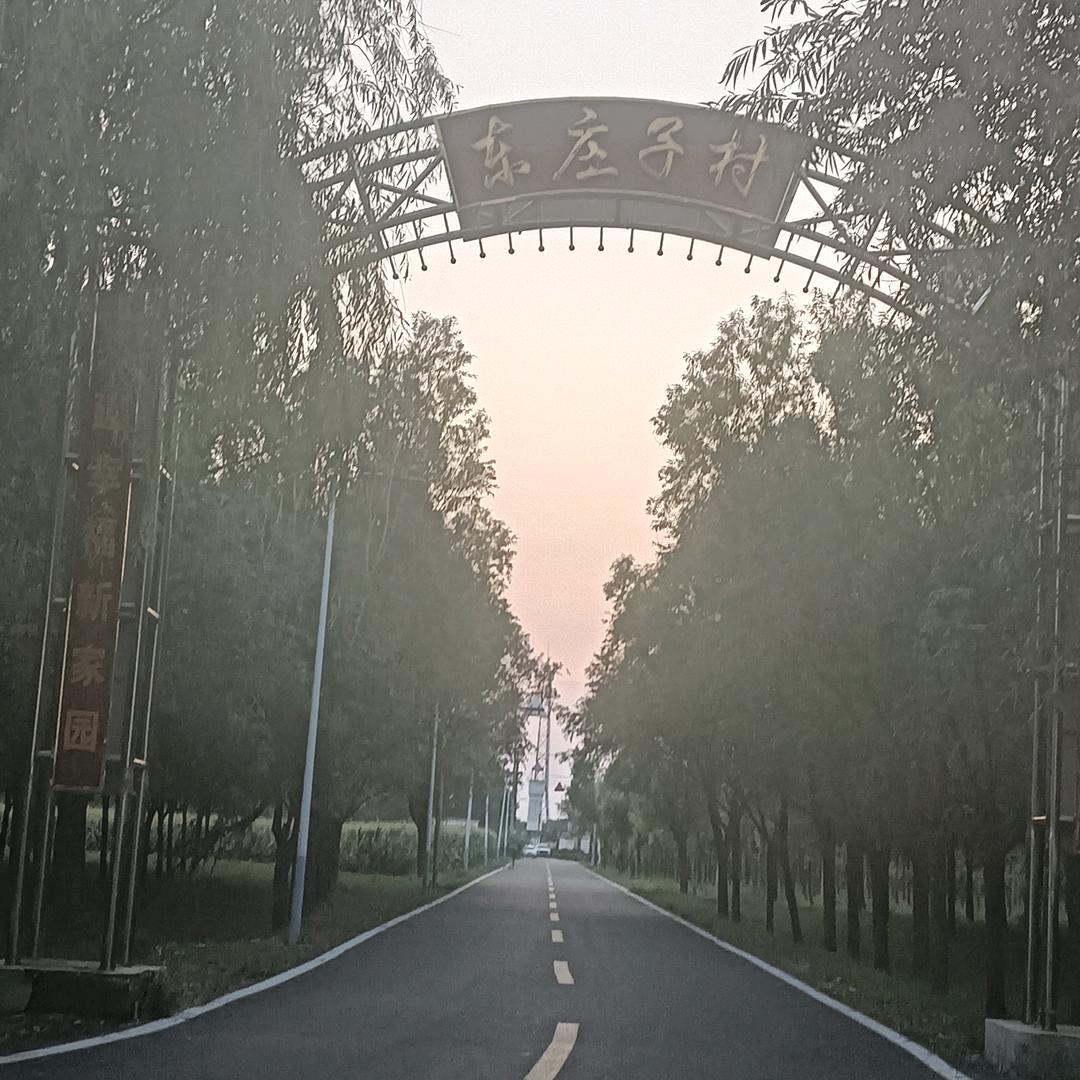 李二哥